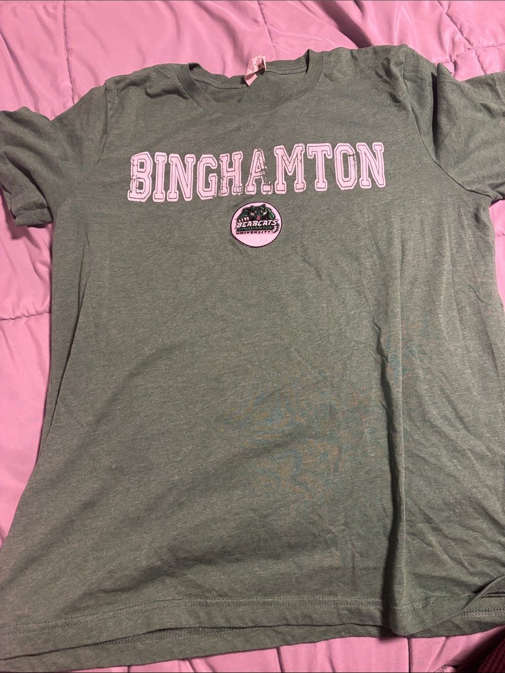 Gildan Binghamton Heather Green Tee with Pink Lettering